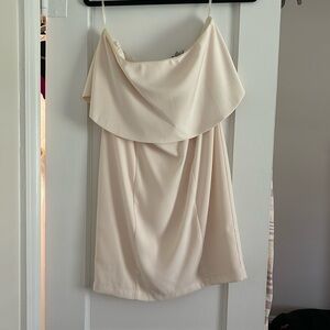 Strapless Naked Zebra Dress